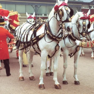 visita-caballerizas-reales-palacio-buckingham